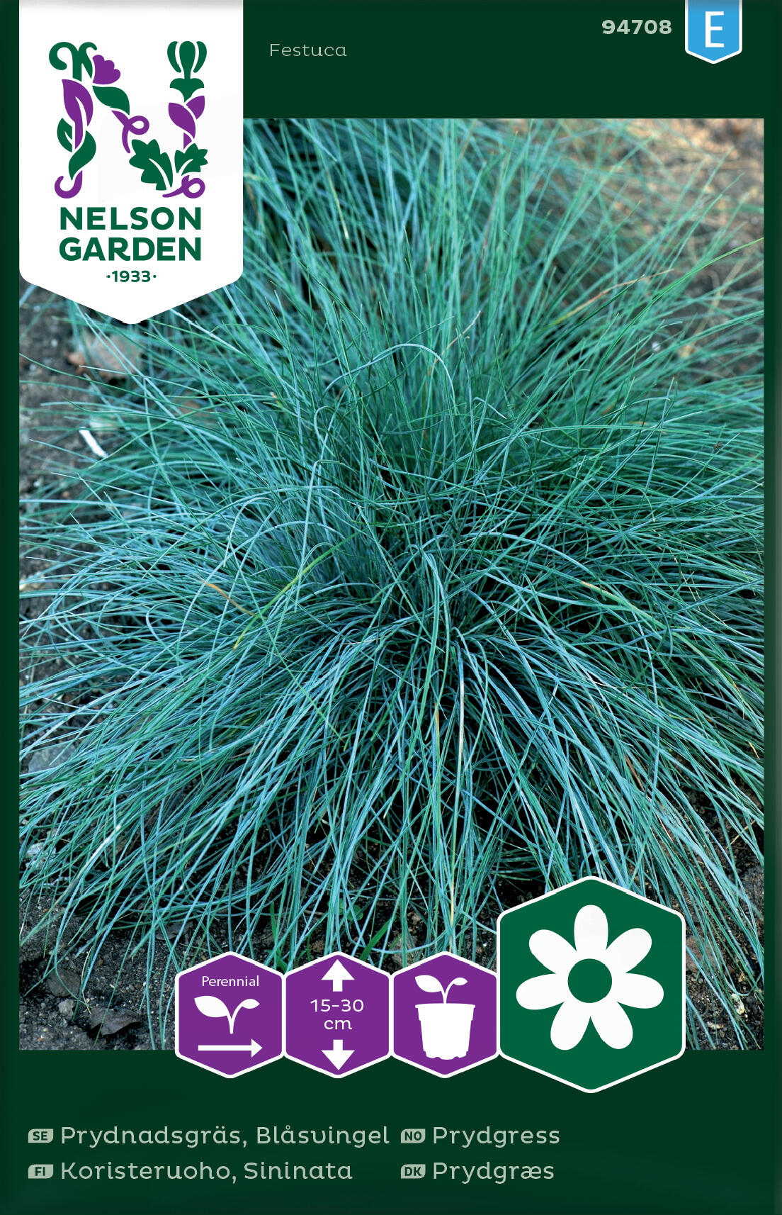 Prydnadsgräs, blåsvingel